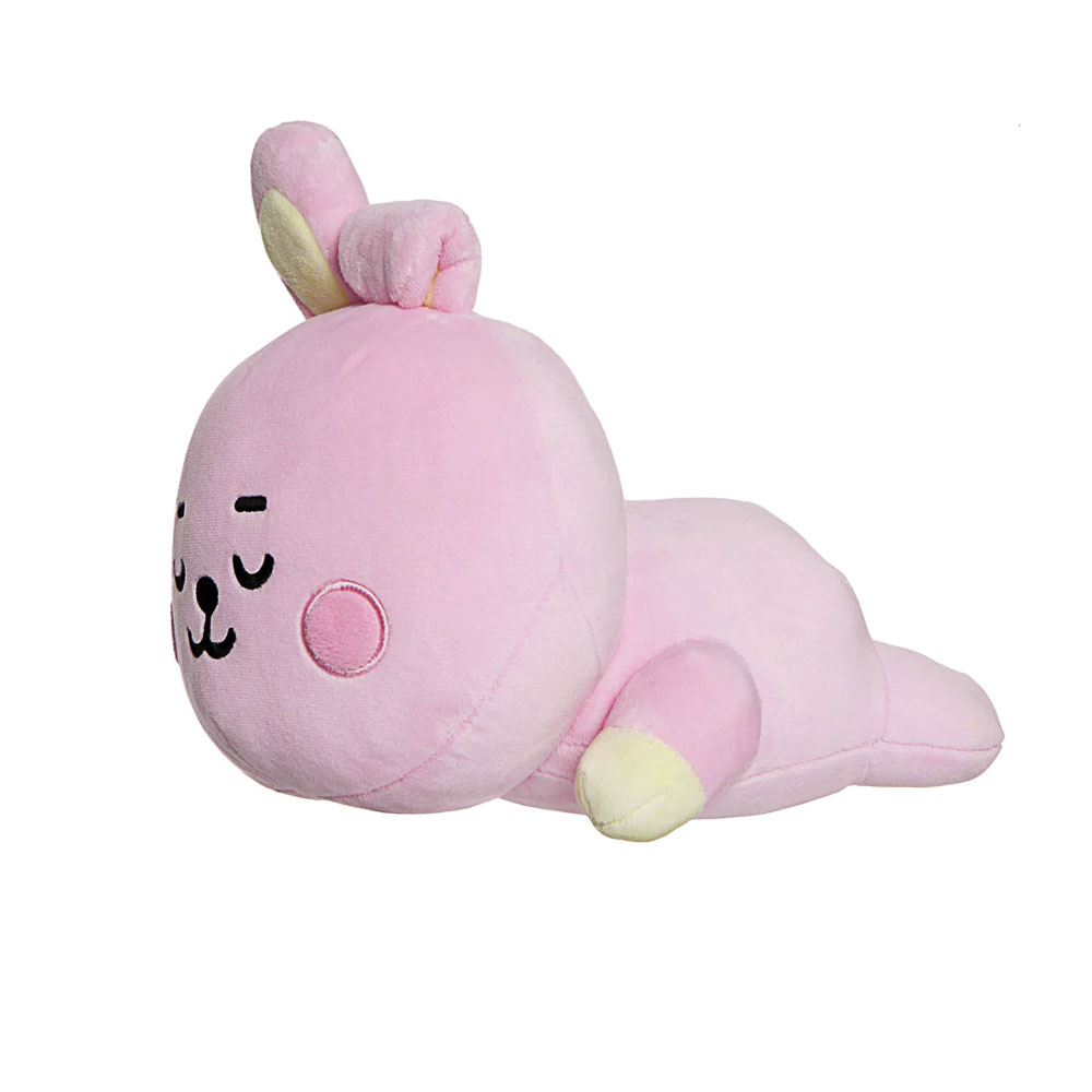Produkt Abbildung bt21_cooky_baby_kissen_01.jpg