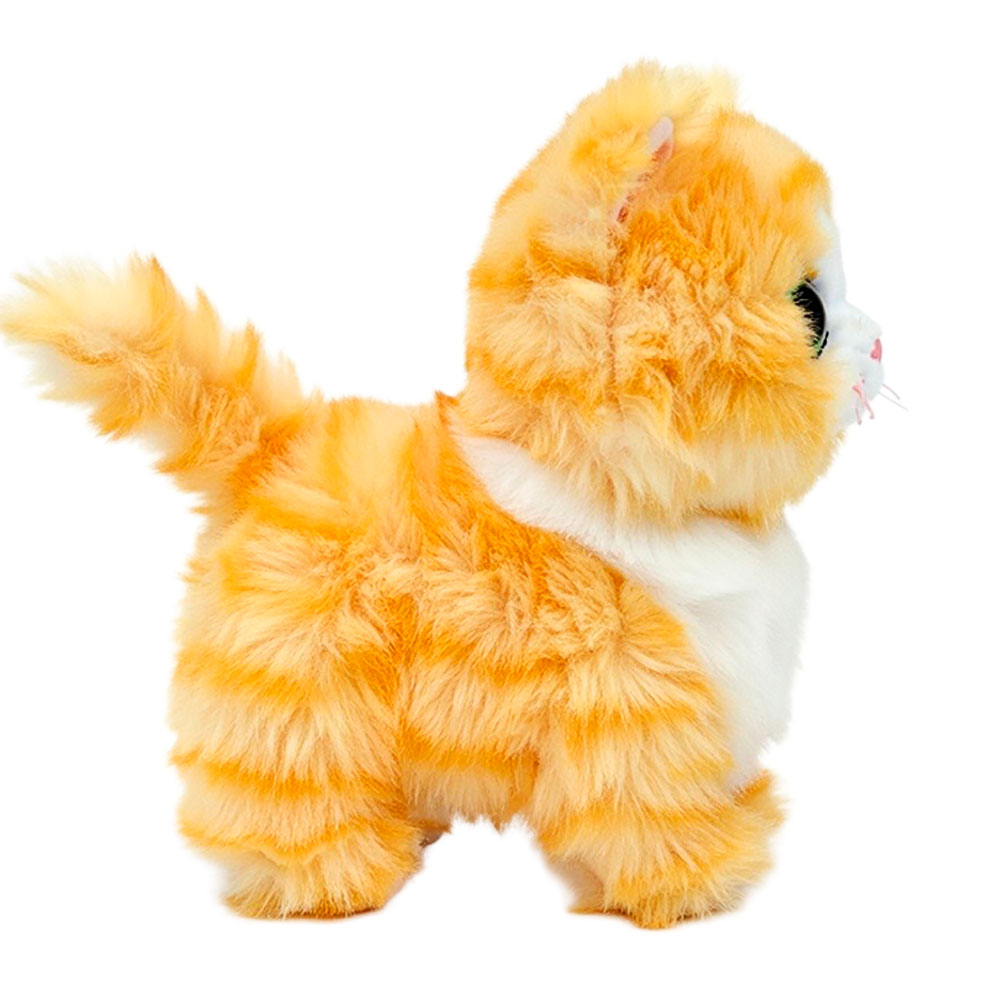 Kuscheltier, Katze, Plüsch, Orange, Stofftier