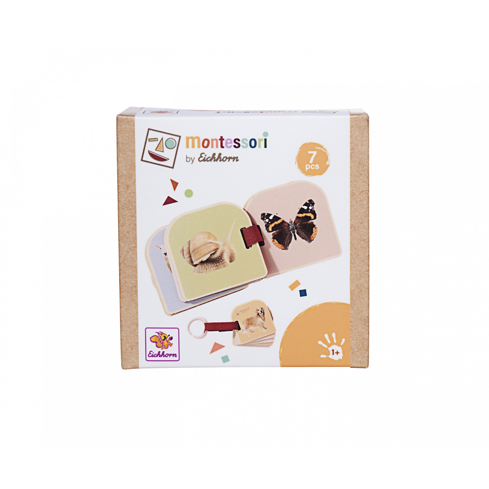 Eichhorn, Montessori Bilderbuch Eichhorn, Montessori Bilderbuch
